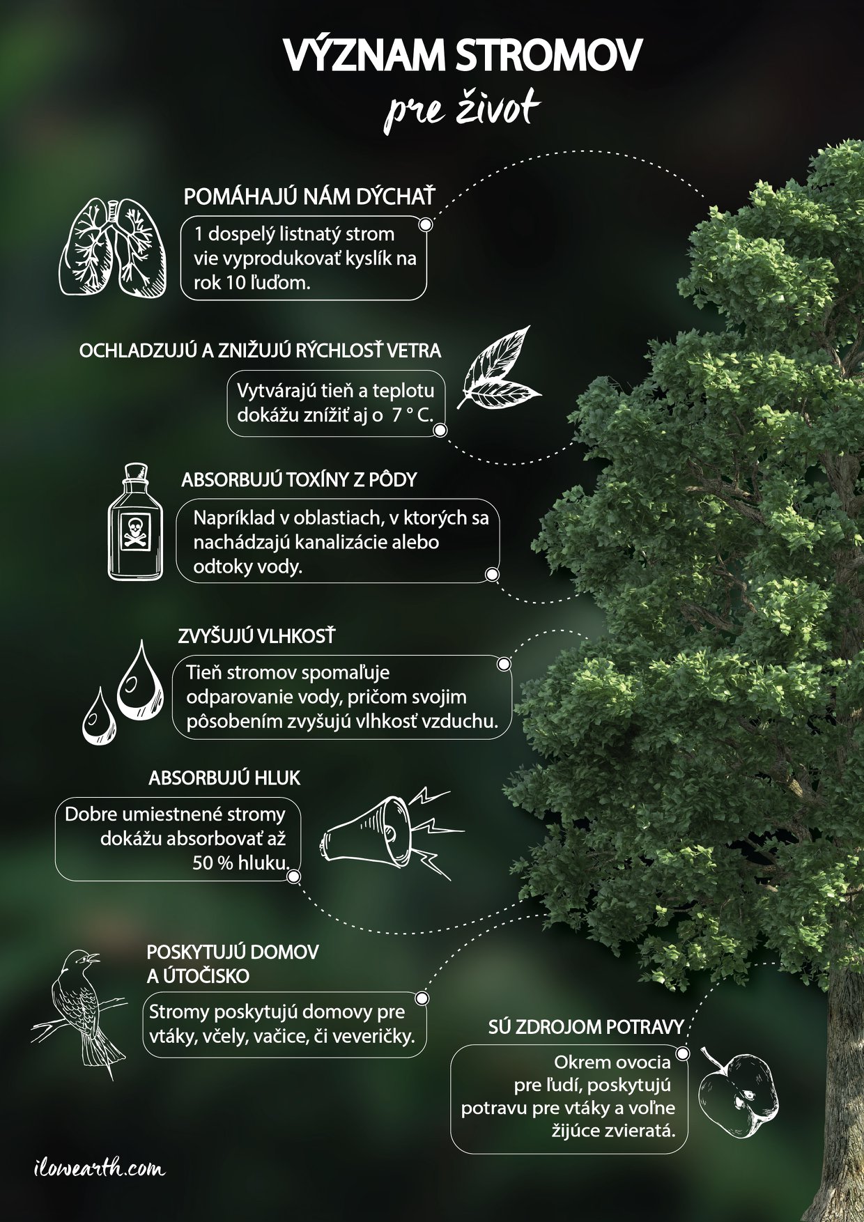 Význam stromov pre život - infografika